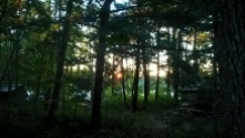 Sunrise through the trees at Camden Hills State Park